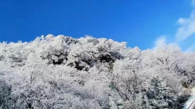 媒体人:张镇麟因肌肉拉伤缺席今晚辽宁对阵山东的比赛