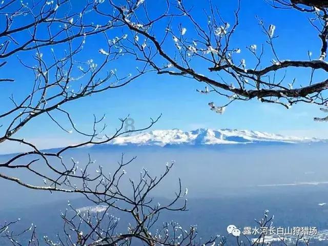 官方:阿根廷3月中国行将战尼日利亚&科特迪瓦