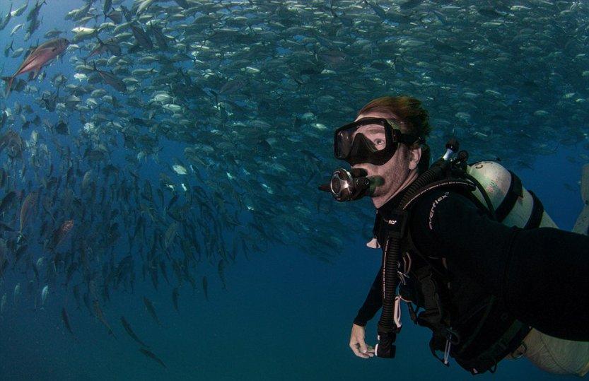 海滩别墅逃生